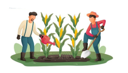 Agriculture Engineering