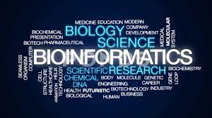 bioinformatics