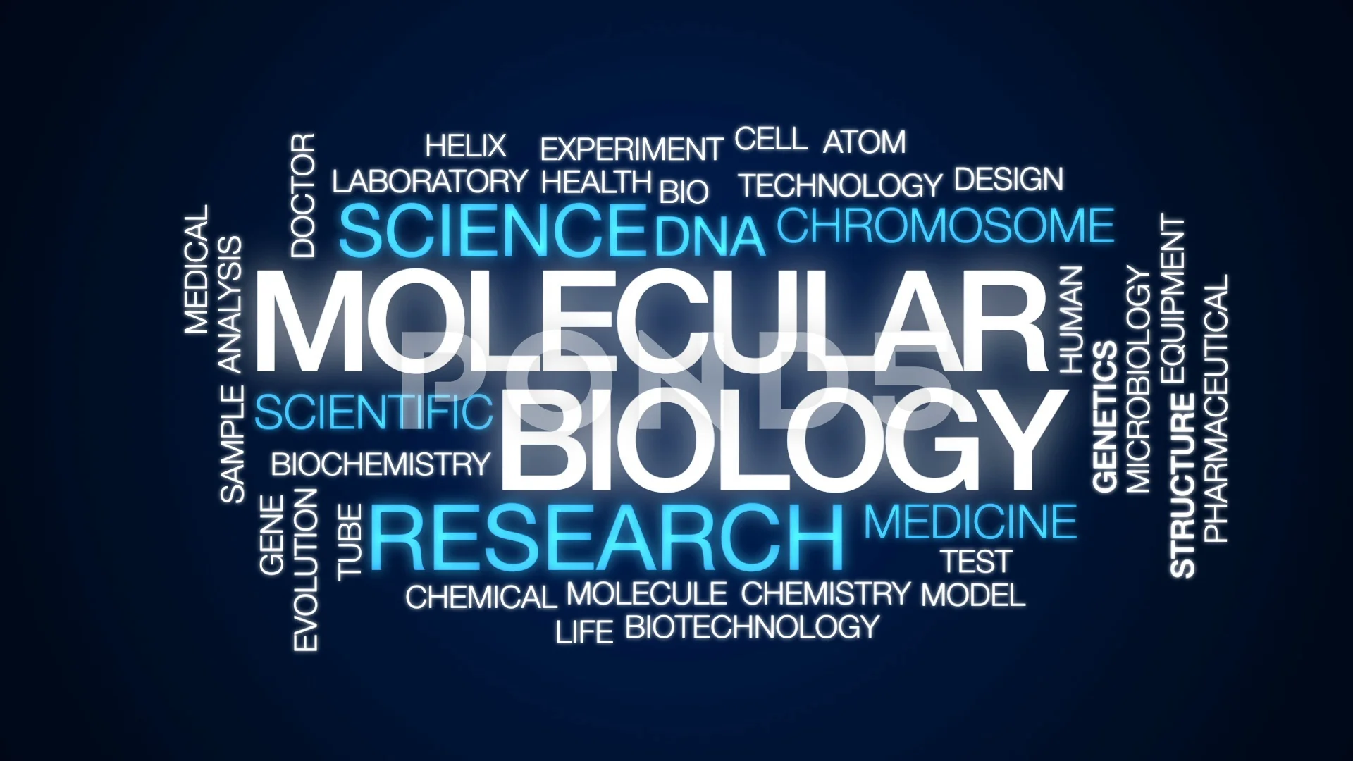 Molecular Biology